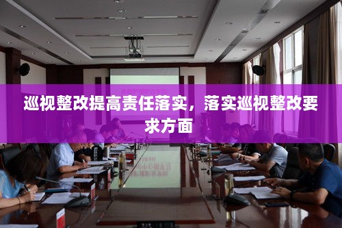 巡视整改提高责任落实，落实巡视整改要求方面 