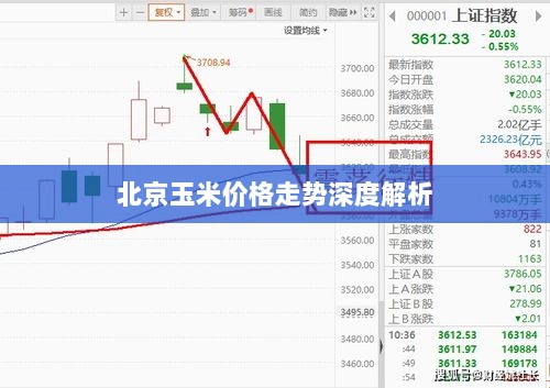 北京玉米价格走势深度解析