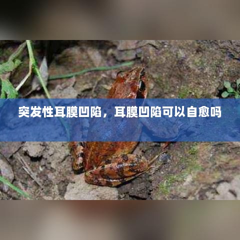 突发性耳膜凹陷，耳膜凹陷可以自愈吗 