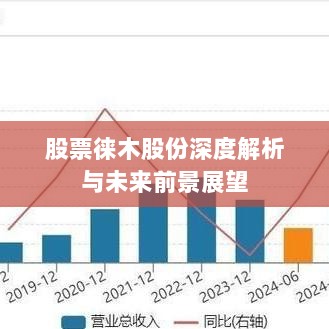 股票徕木股份深度解析与未来前景展望