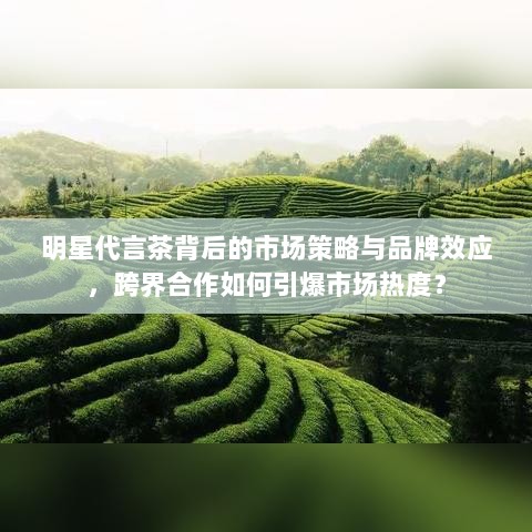 明星代言茶背后的市场策略与品牌效应，跨界合作如何引爆市场热度？