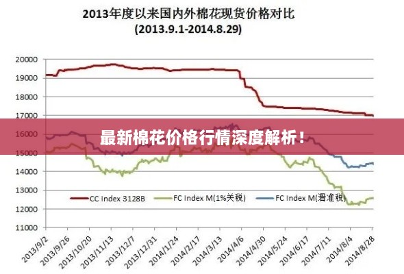 最新棉花价格行情深度解析！