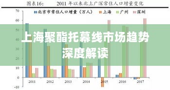 上海聚酯托幕线市场趋势深度解读