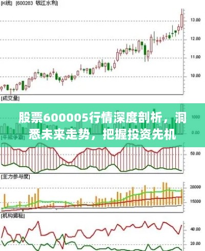 股票600005行情深度剖析，洞悉未来走势，把握投资先机