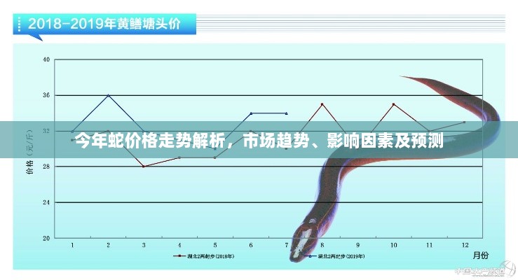 今年蛇价格走势解析，市场趋势、影响因素及预测