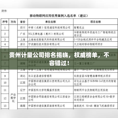 贵州计量公司排名揭晓，权威榜单，不容错过！