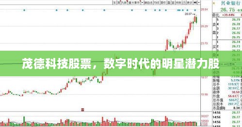 茂德科技股票，数字时代的明星潜力股