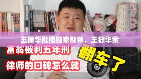 王振华批捕独家视频，王振华案 