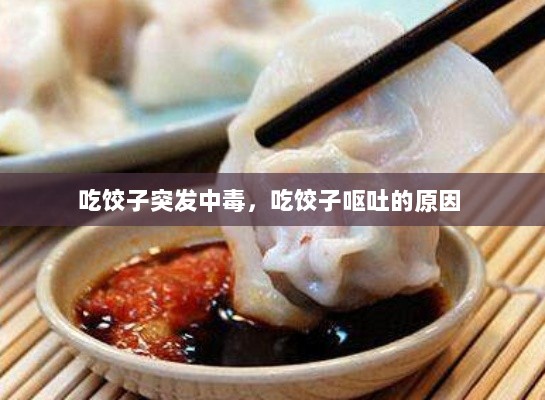 吃饺子突发中毒，吃饺子呕吐的原因 