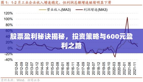 股票盈利秘诀揭秘，投资策略与600元盈利之路