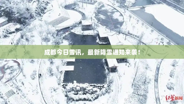 成都今日雪讯，最新降雪通知来袭！