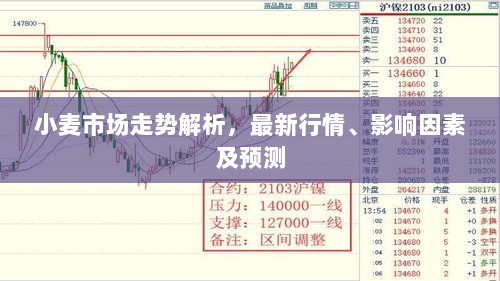 小麦市场走势解析，最新行情、影响因素及预测