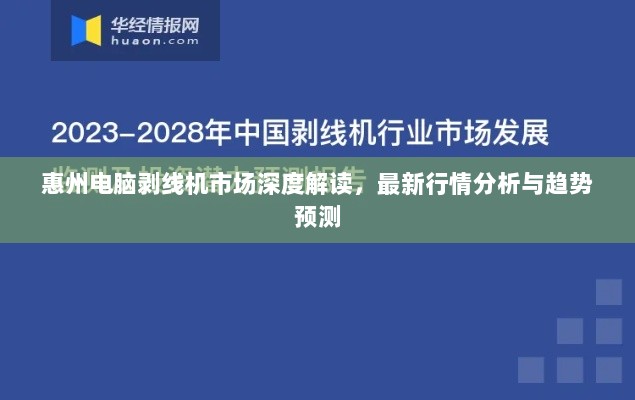 惠州电脑剥线机市场深度解读，最新行情分析与趋势预测