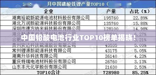 中国铅酸电池行业TOP10榜单揭晓！