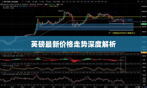 英磅最新价格走势深度解析