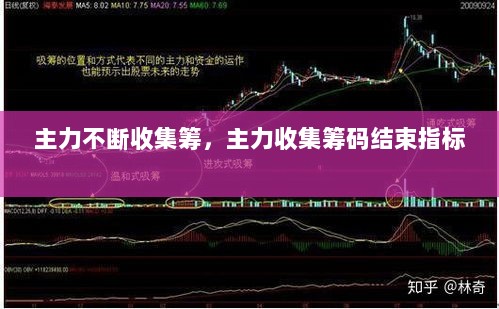 主力不断收集筹，主力收集筹码结束指标 