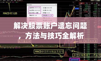 解决股票账户遗忘问题，方法与技巧全解析