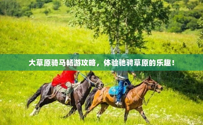 大草原骑马畅游攻略，体验驰骋草原的乐趣！