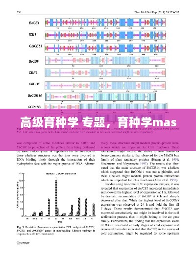 高级育种学 专题，育种学mas 