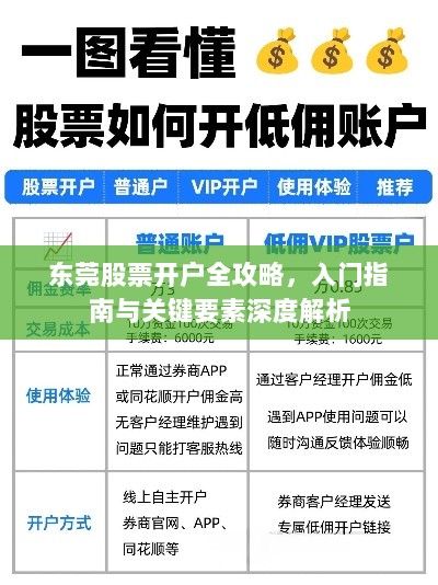 东莞股票开户全攻略，入门指南与关键要素深度解析