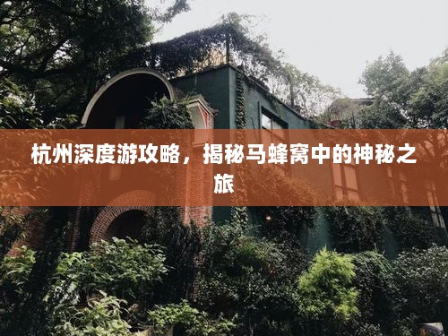 杭州深度游攻略，揭秘马蜂窝中的神秘之旅