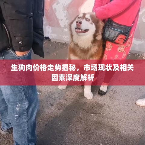 生狗肉价格走势揭秘，市场现状及相关因素深度解析