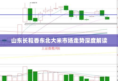 山东长粒香东北大米市场走势深度解读