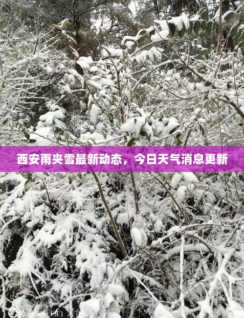 西安雨夹雪最新动态，今日天气消息更新