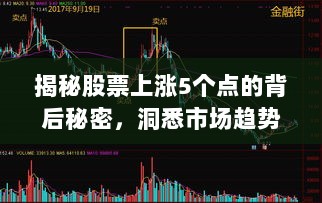 揭秘股票上涨5个点的背后秘密，洞悉市场趋势与应对策略实战解析