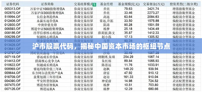 沪市股票代码，揭秘中国资本市场的枢纽节点