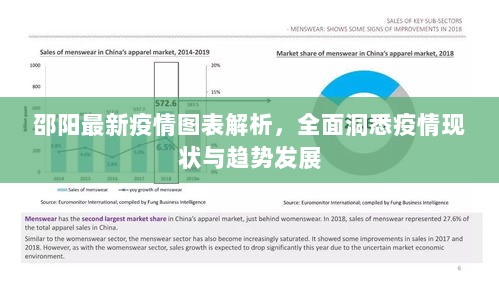 邵阳最新疫情图表解析，全面洞悉疫情现状与趋势发展