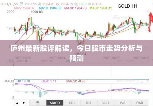 庐州最新股评解读，今日股市走势分析与预测