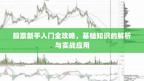 股票新手入门全攻略，基础知识的解析与实战应用