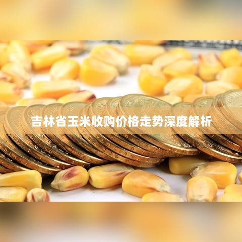 吉林省玉米收购价格走势深度解析