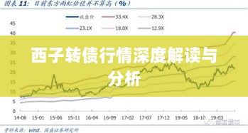 西子转债行情深度解读与分析