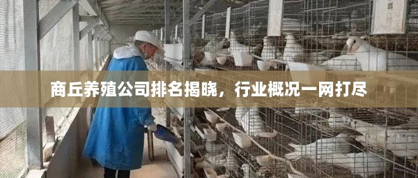 商丘养殖公司排名揭晓，行业概况一网打尽