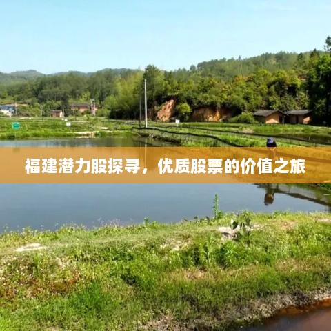 福建潜力股探寻，优质股票的价值之旅