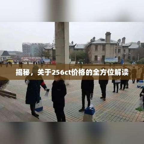 揭秘，关于256ct价格的全方位解读