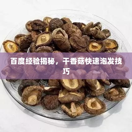 百度经验揭秘，干香菇快速泡发技巧