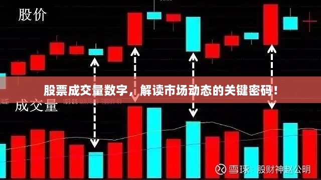 股票成交量数字，解读市场动态的关键密码！