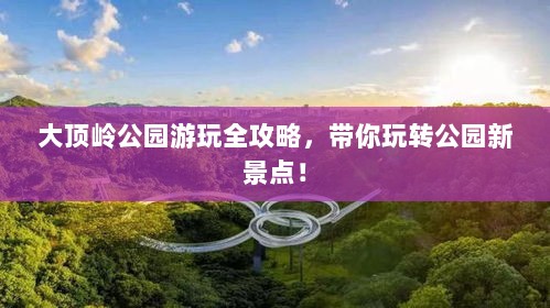 大顶岭公园游玩全攻略，带你玩转公园新景点！