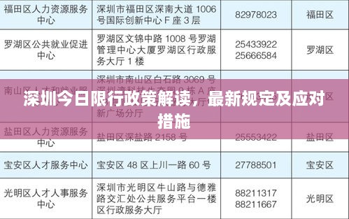 深圳今日限行政策解读，最新规定及应对措施