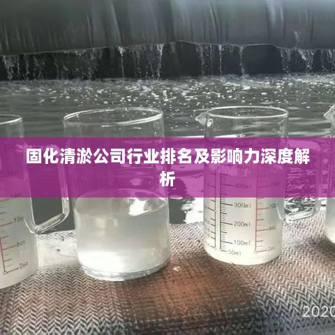 固化清淤公司行业排名及影响力深度解析