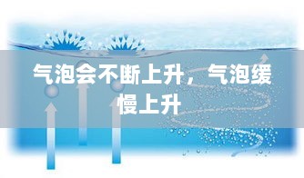 气泡会不断上升，气泡缓慢上升 