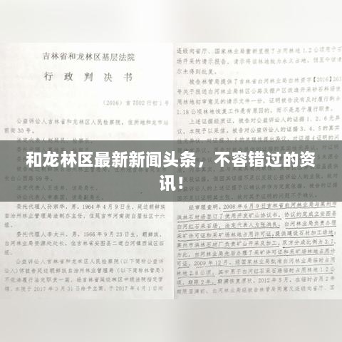 和龙林区最新新闻头条，不容错过的资讯！