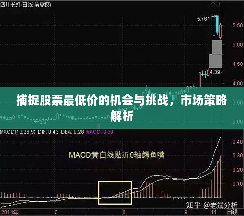 捕捉股票最低价的机会与挑战，市场策略解析