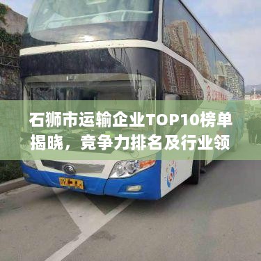 石狮市运输企业TOP10榜单揭晓，竞争力排名及行业领军者揭秘