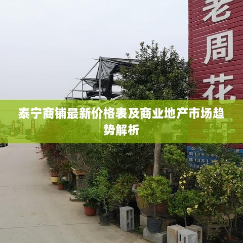 泰宁商铺最新价格表及商业地产市场趋势解析