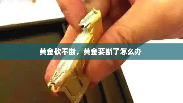 黄金砍不断，黄金要断了怎么办 