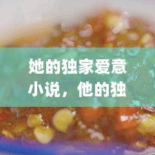 她的独家爱意小说，他的独爱 